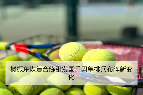 樊振东恢复合练引发国乒男单排兵布阵新变化